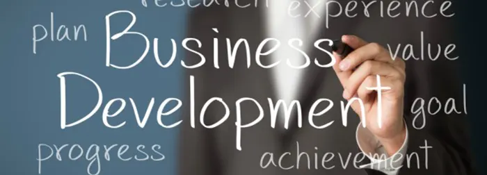 توسعه کسب و کار چیست؟